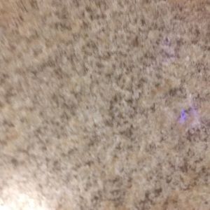 Meet your Posher, Josue